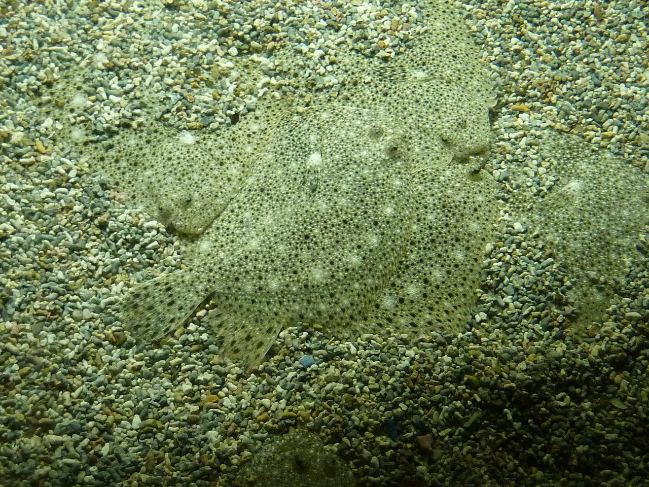 concealed in our nature