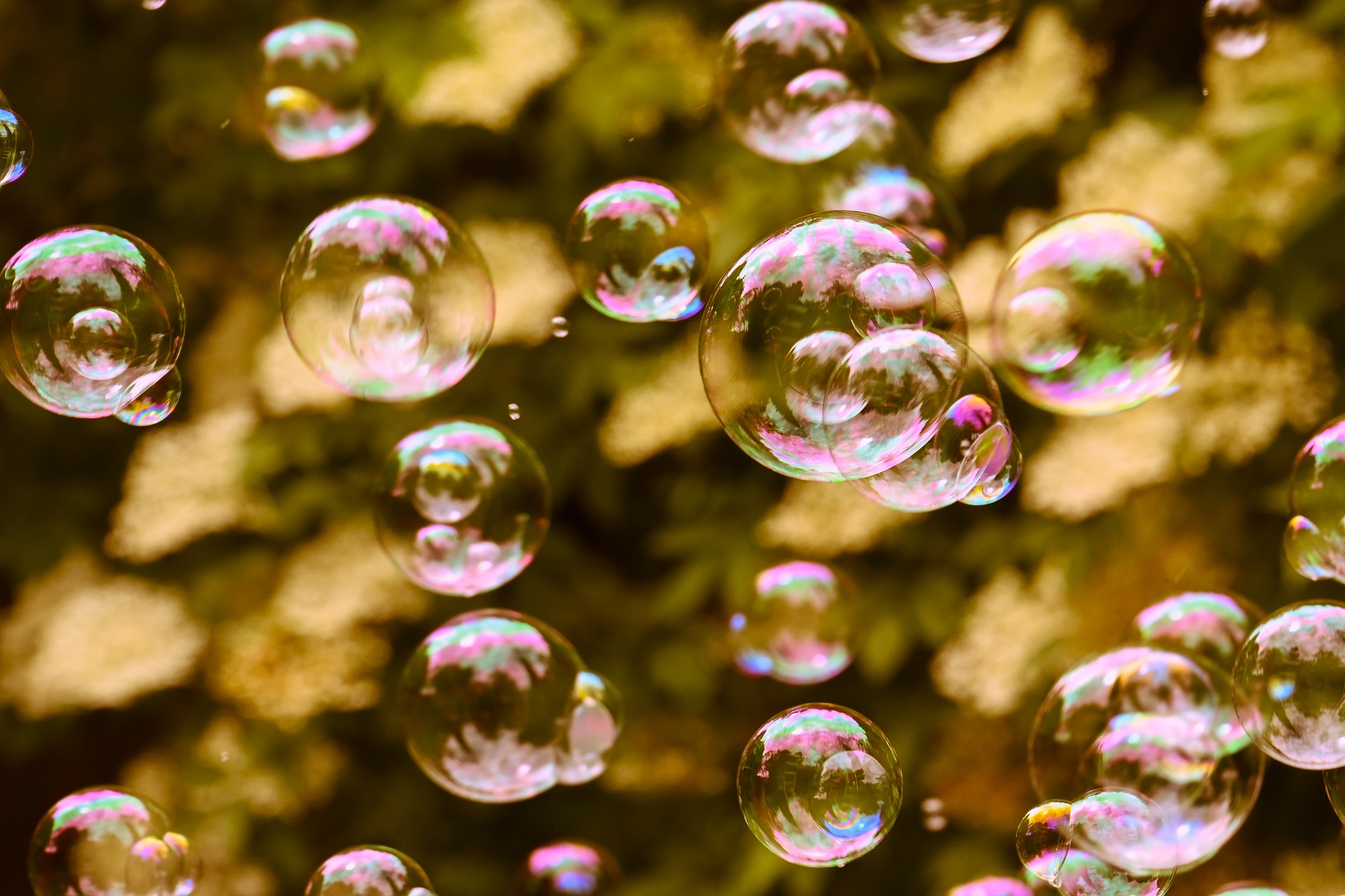 לגלות את האמת